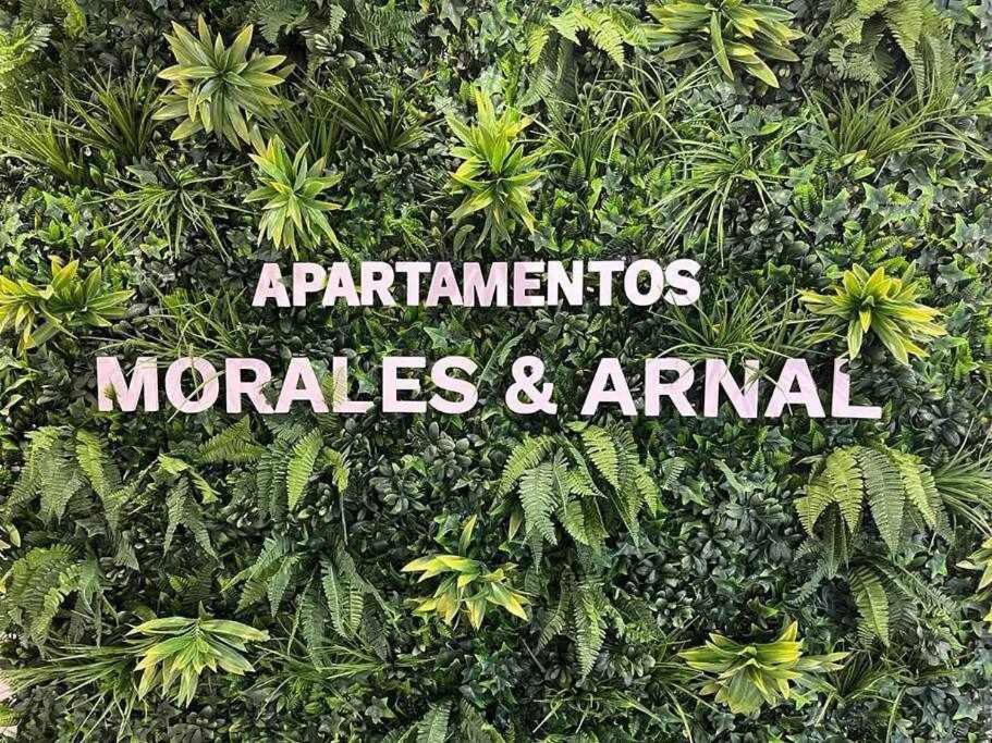 Xvii A Morales & Arnal Apartment Ronda